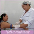 /album/equipe-/coleta-de-amostras-jpg/
